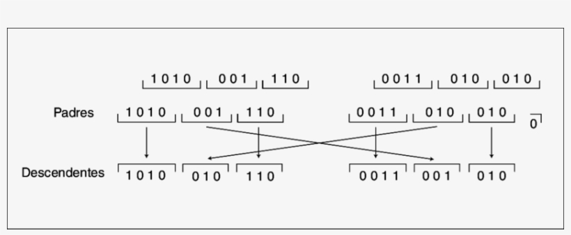 Ejemplo De Cruce Basado En Dos Puntos - Science, transparent png #2881114