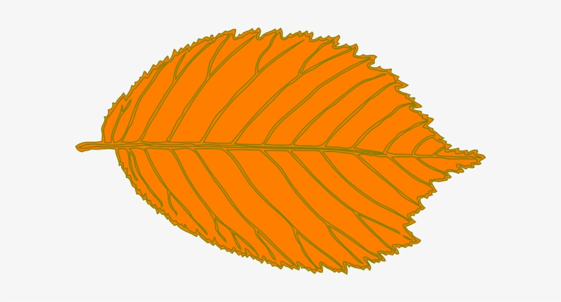 Clip Art, transparent png #2881520