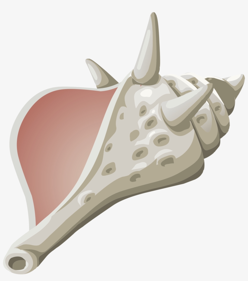 This Free Icons Png Design Of Misc Conch, transparent png #2881792