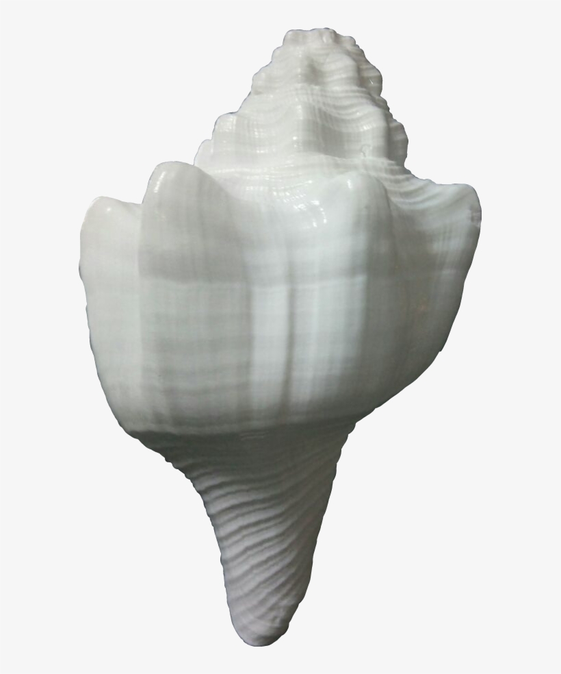 Product Image Big - Product, transparent png #2882075