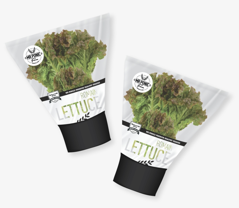 View Larger Image - Lettuce, transparent png #2882102