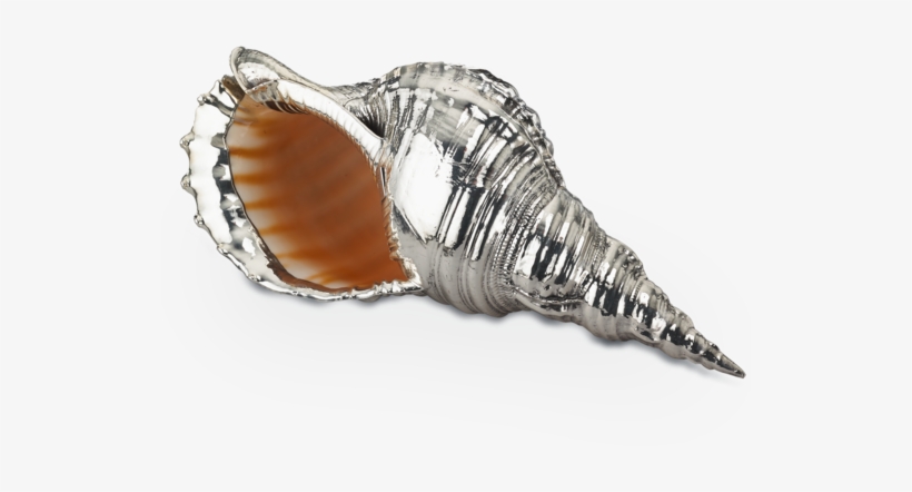 Buccellati - Centerpieces - Charonia Tritonis - Silver - Charonia Tritonis, transparent png #2882209