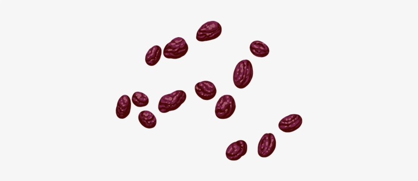 Raisins - Wiki, transparent png #2882231