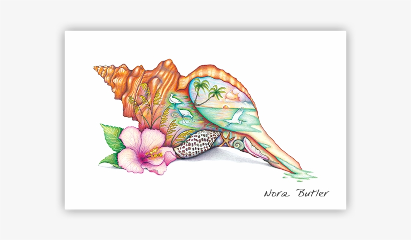 Horse Conch By Nora Butler - So Many Beaches Paper Cocktail Napkins 15-020, transparent png #2882259