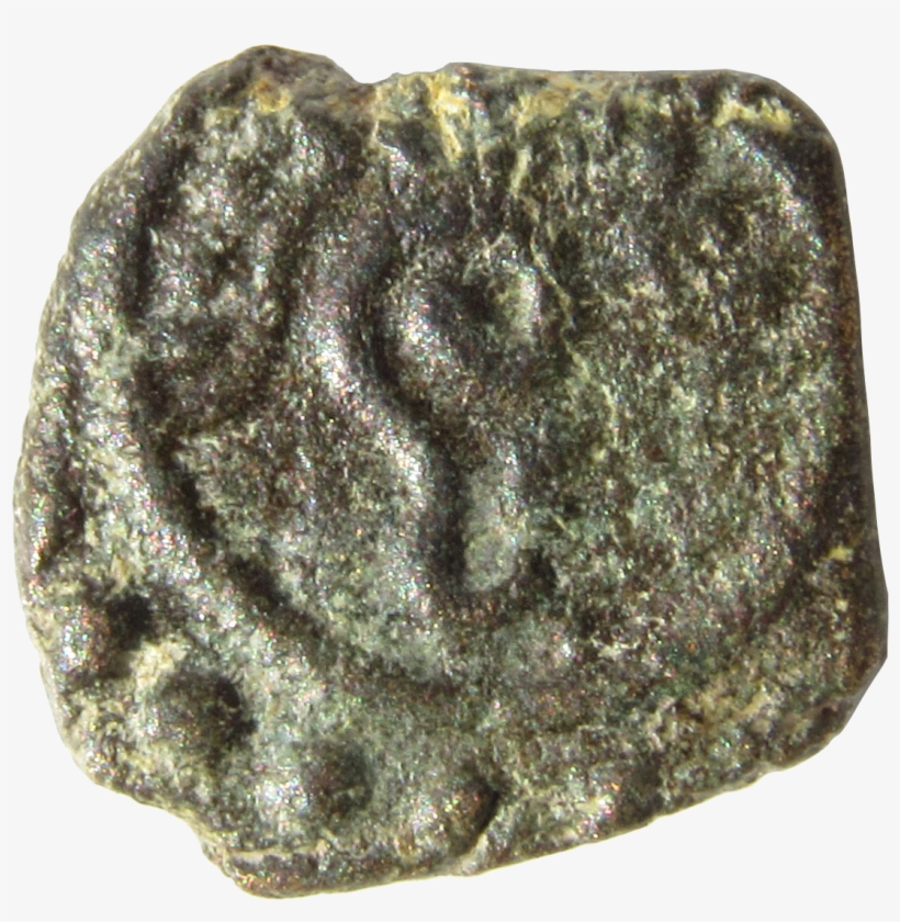 Conch With Decoration Above - Conch Piercing, transparent png #2882275