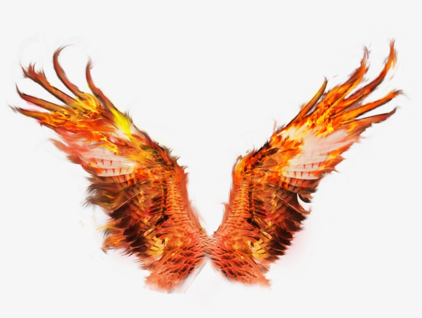 Wings Tigers - Fire Wing Png Transparent, transparent png #2882402