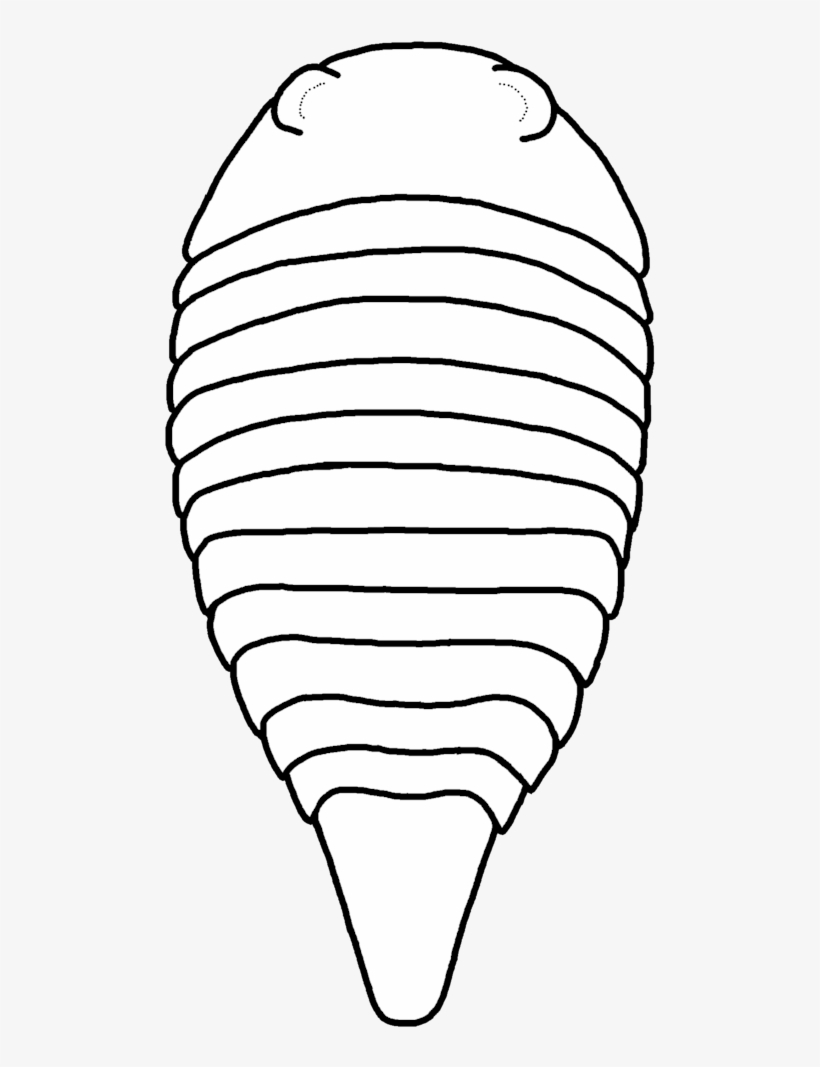 Paleomerus Hamiltoni - Paleomerus, transparent png #2882466