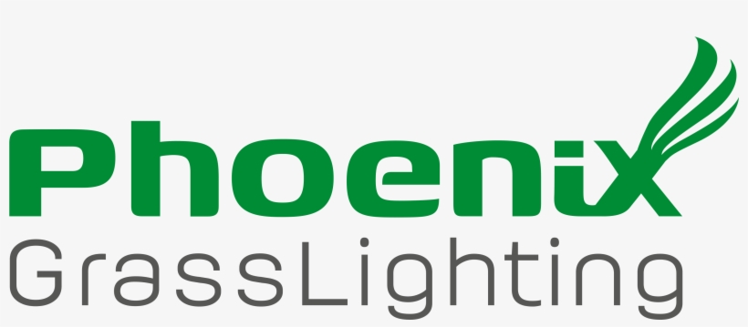 Logo Final Phoenix Transparent - Phoenix, transparent png #2882735