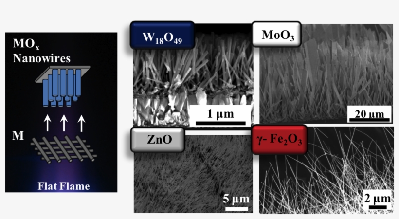 Flame Synthesis Of Metal Oxide Nanowires Using Atmospheric - Metal Oxide Nanowires, transparent png #2883105