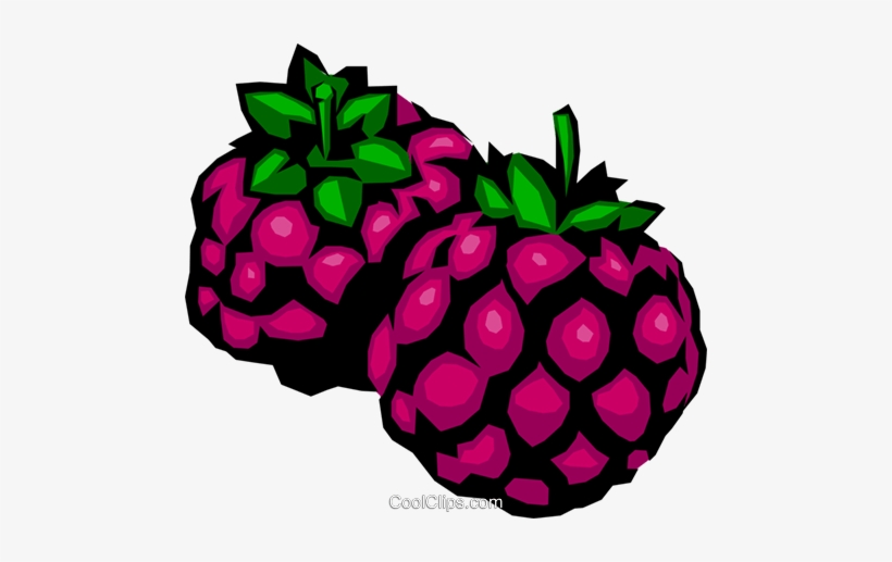 Blackberries Royalty Free Vector Clip Art Illustration - Gif De Mora, transparent png #2883391