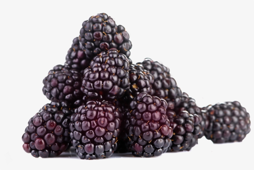 Raspberry Blackberry Blueberries, transparent png #2883477