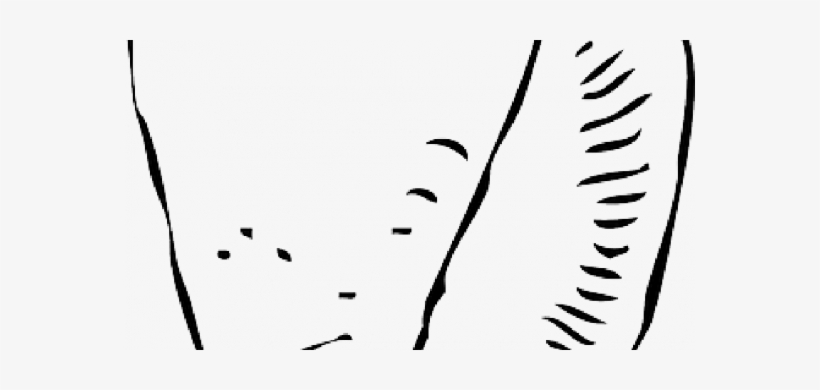 Skill Cartoon Fish Outline Black Outline Drawing White - Clip Art, transparent png #2883693