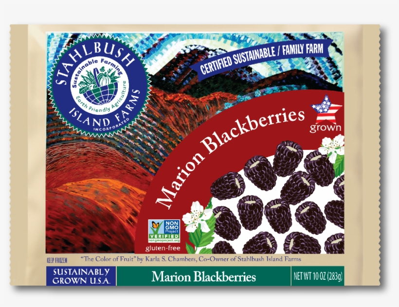 A Truly Oregon Berry, Marion Blackberries Or Marionberries - Stahlbush Island Farms, transparent png #2883803