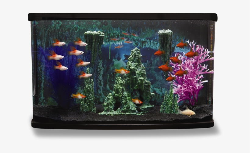 Cave - Cave Themed Fish Tank, transparent png #2883899