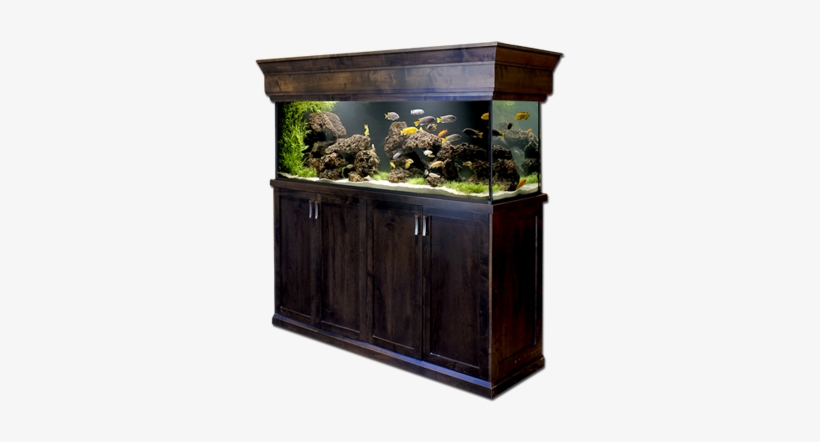 Aquarium Services - Aquarium, transparent png #2883928