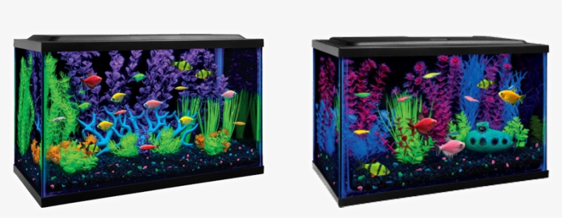 Glofish® Aquarium Kits - Tetra Fish Tank Ideas, transparent png #2884009