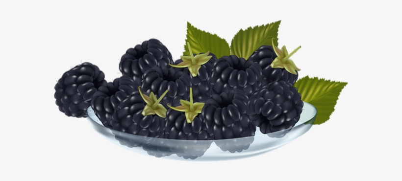 Blackberry, transparent png #2884112