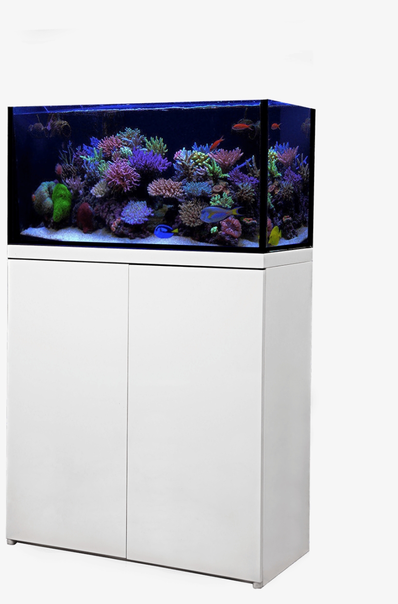 Lux Aquarium Tank Systems Click Here For More Informaiton - Reef Octopus Lux 90, transparent png #2884231