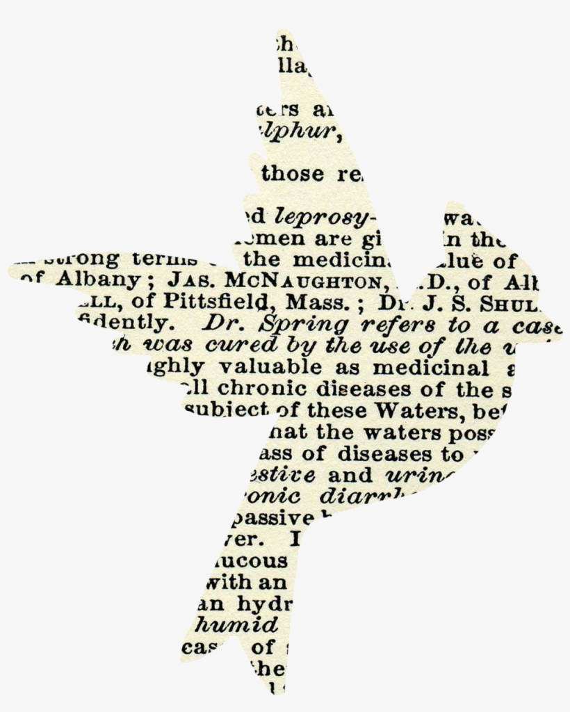 Marcos Gratis Para Fotos - Decoraciones De Pagina Png, transparent png #2884238