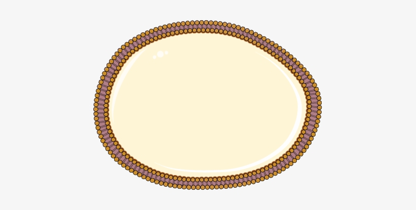 Download The Image - Family Feud Platinum Edition, transparent png #2884285