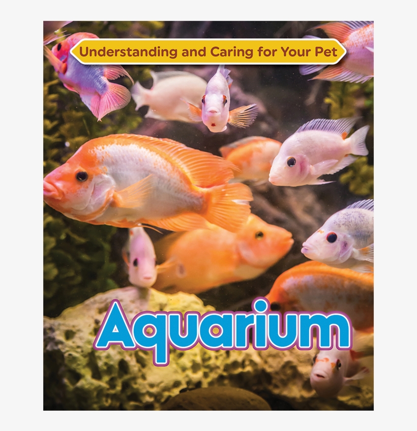 Aquarium, transparent png #2884391