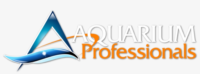 Aquarium Banner Design, transparent png #2884411