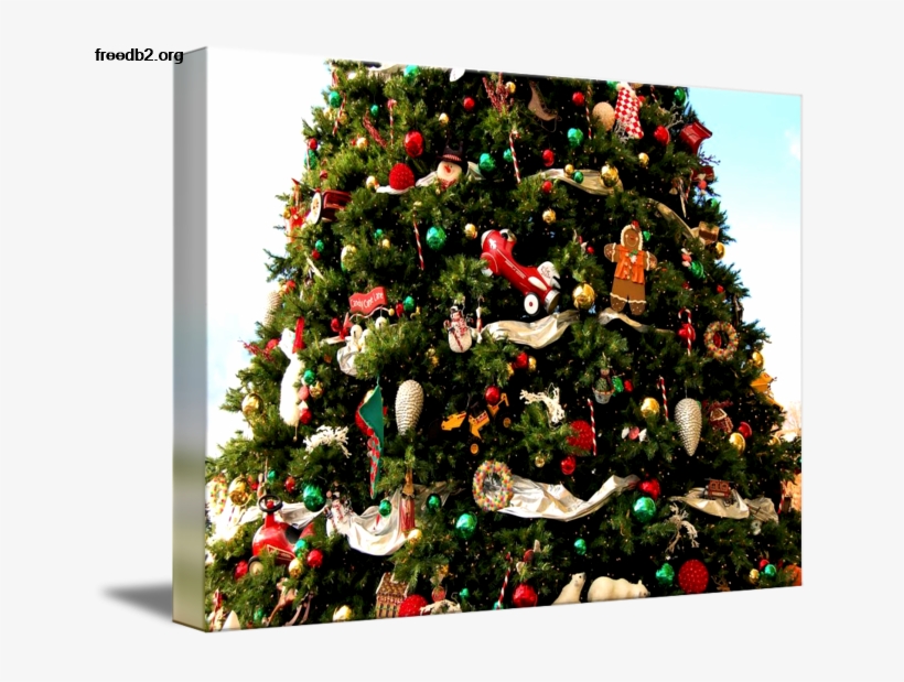 Kirkland Christmas Tree By Rick Takagi Kirklands Christmas - Christmas Tree, transparent png #2884412