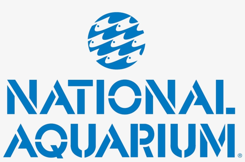 National Aquarium - Harborplace Pratt Street Pavilion, transparent png #2884466