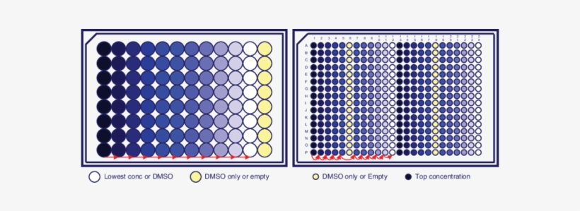 Serial Dilution Plate Map For 96 Well And 384 Well 96 Well Plate