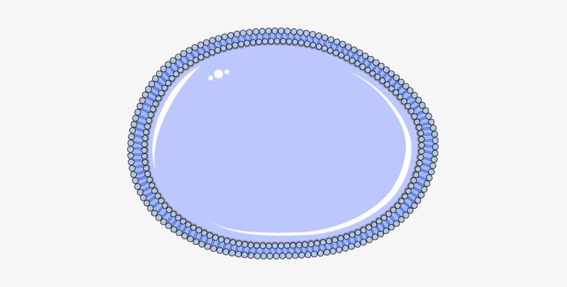 Cell Membrane - My Jewellery Armband, transparent png #2884742