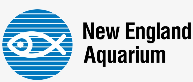 Image Result For New England Aquarium - New England Aquarium Logo, transparent png #2884768