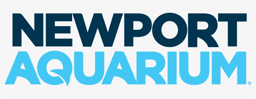 Newport Aquarium Logo - Wave Foundation At Newport Aquarium Logo, transparent png #2884922