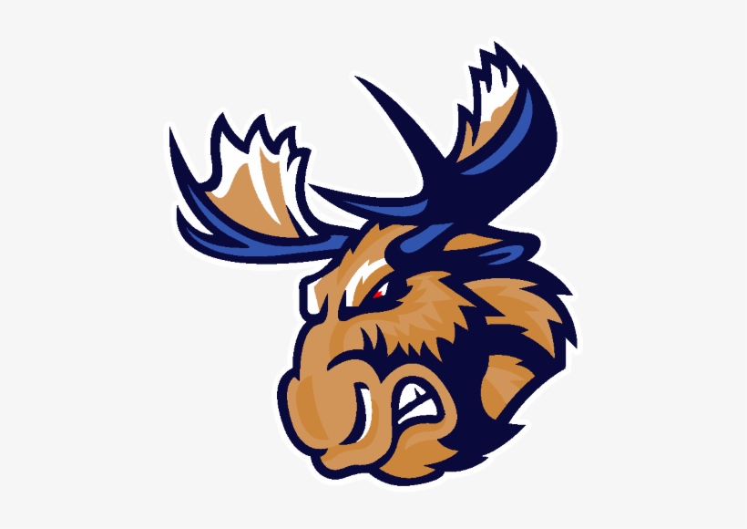 Mpvv46n - Manitoba Moose Hockey, transparent png #2885680