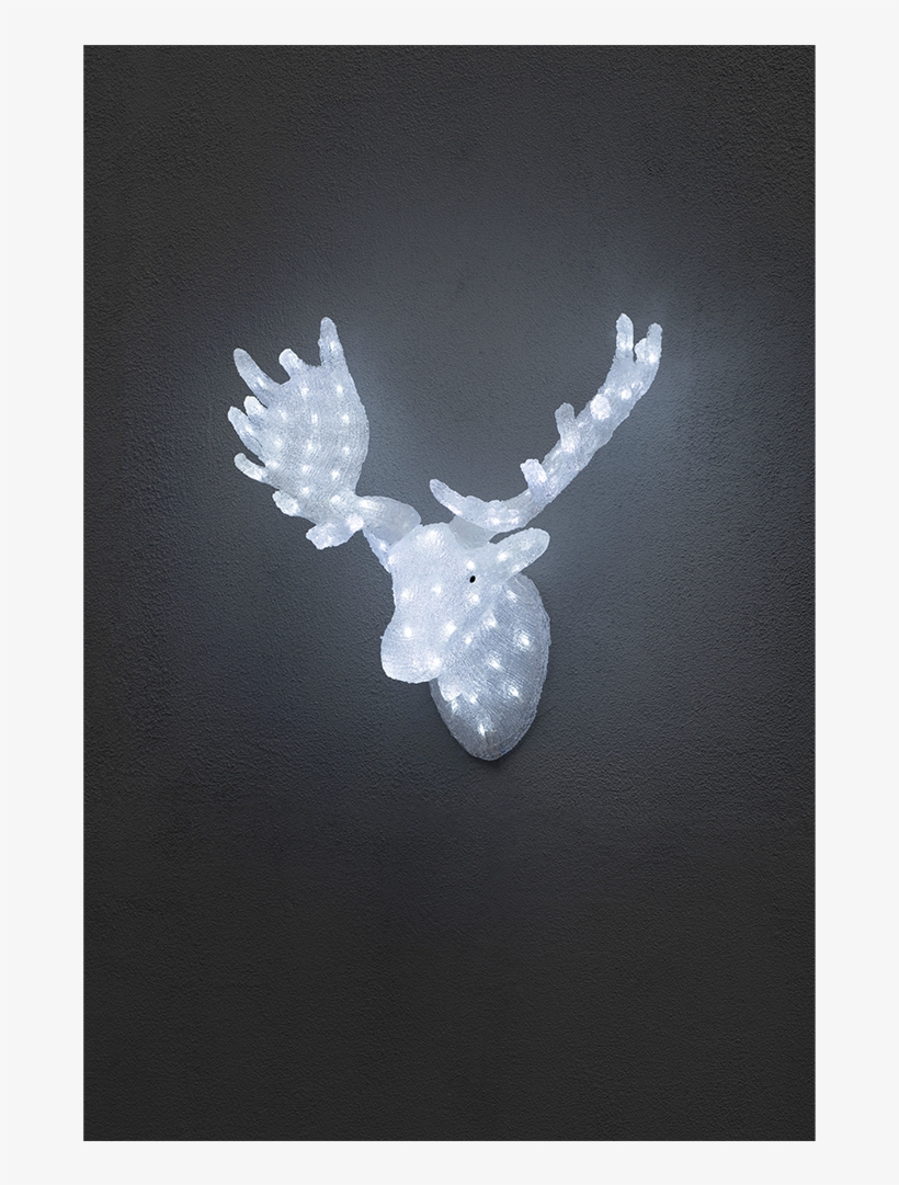 Acrylic Moose Head With Led Lighting - Konstsmide 6265-203 Acrylic Led Moose Head, transparent png #2885686