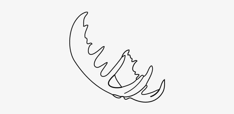 Fake Moose Antlers Side View, How To Put Together Your - Moose, transparent png #2885710