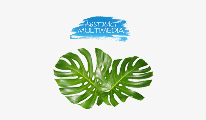 Share This Image - Monstera Leaves, transparent png #2886114