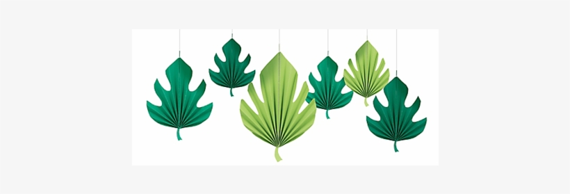 Monstera Leaf Paper Fans - Illustration, transparent png #2886160