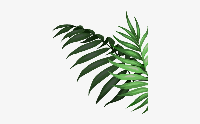 Leaves - Walter Interactive, transparent png #2886297