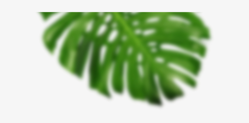 Blurred Image Of A Leaf Frond - Leaf, transparent png #2886402