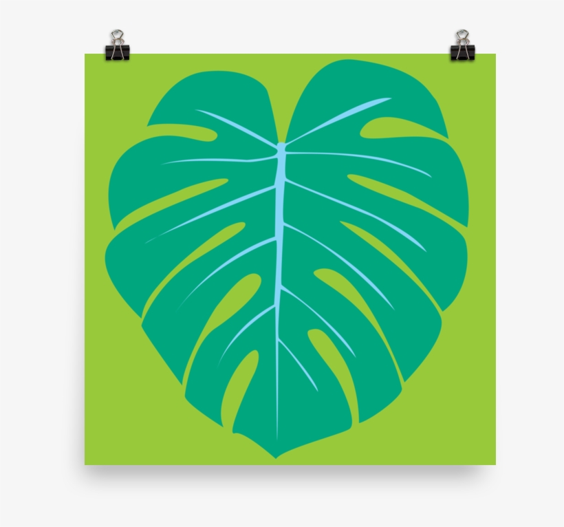 Monstera Leaf 2 By Graeme Luey - Swiss Cheese Plant, transparent png #2886424