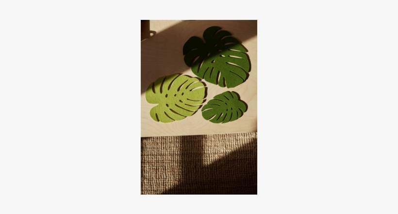 Felt Monstera Leaf Trivet - Trivet, transparent png #2886501