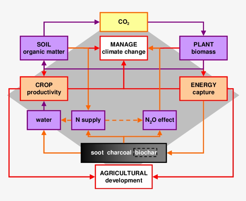 The Key Physical , Natural (orange Arrows) And Anthropogenic - Diagram, transparent png #2887387