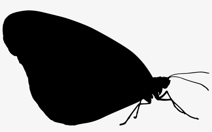 Butterfly Silhouette Black Wing Insect - Brush-footed Butterfly, transparent png #2888055