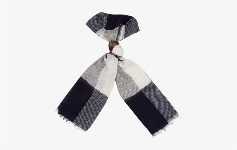 Clio Club Check Scarf - Scarf, transparent png #2888082