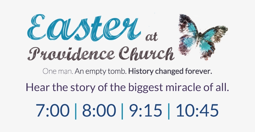 Stories-doctor Who Canvas Print - Small By Deadlydryads, transparent png #2888109