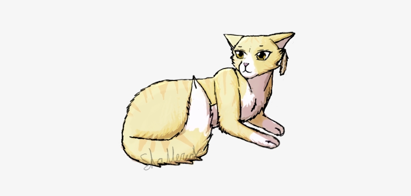 Owls Shave Their Heads - Kitten, transparent png #2888674