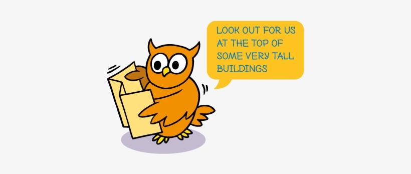 If You Spot Any Other Owls Along The Way That We Have - Owl, transparent png #2888692