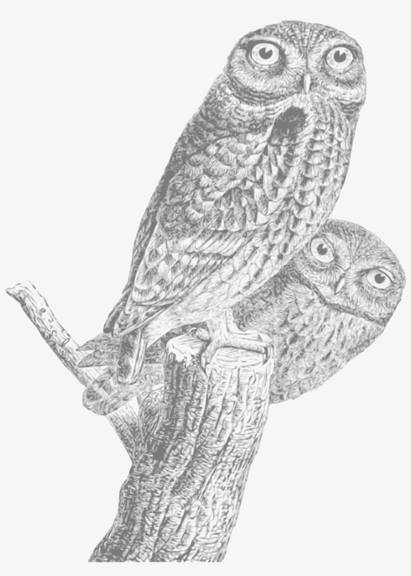 This Free Icons Png Design Of Owls Vintage 01, transparent png #2888925