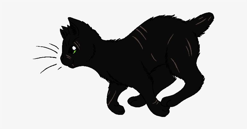 Fern Leaf - Warrior Cats Fern Leaf, transparent png #2888998