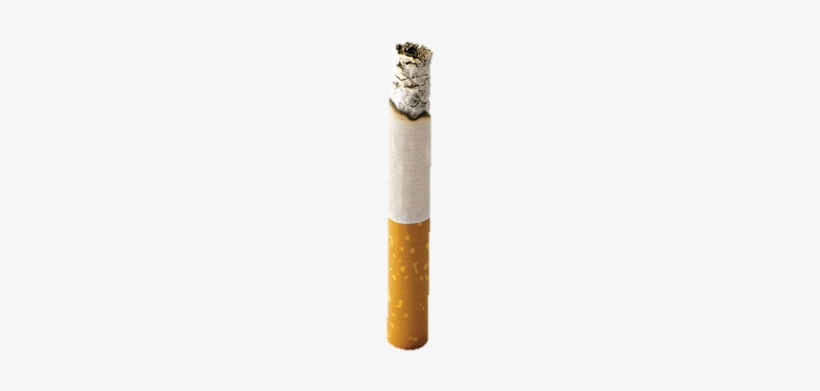 Então Como É Que Os Químicos Chegam Ao Interior Dos - Transparente Cigarro Png, transparent png #2890250